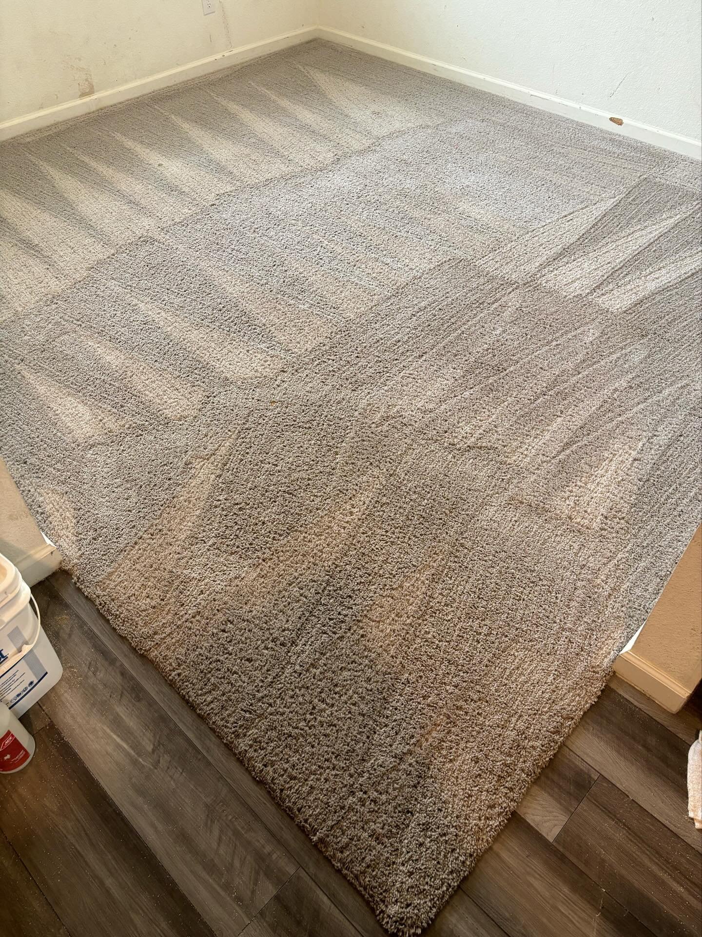 After cleaning carpet with restored look